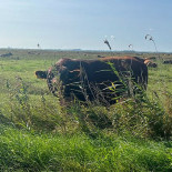 Lollesgaard Udenfor