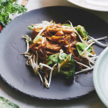 Thai Lanna Drik
