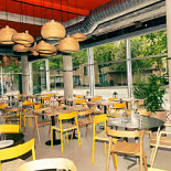 Hanzō Lyngby Inde