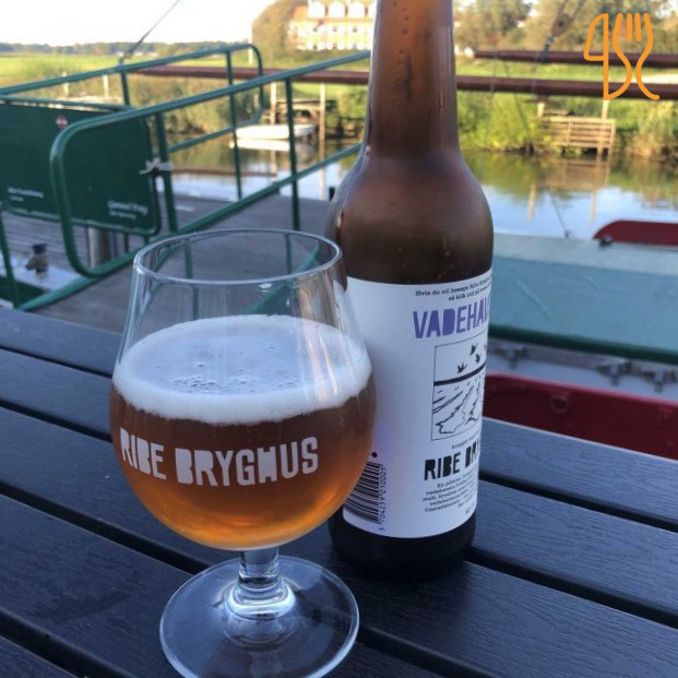 Sælhunden Udenfor