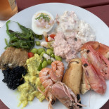Wittco Fish And Shellfish Mad