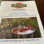 Gl. Skagen, Inde