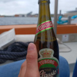 Havet Mad