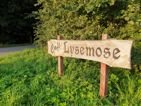 Lysemose Inde