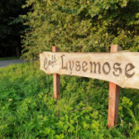 Lysemose Inde