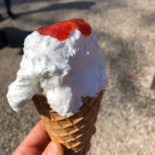 Skovgrillen Mad