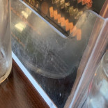 Lucky Sushi Mad