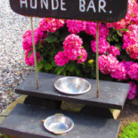 Café Alrø Mad