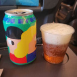 In An Airplane Mad