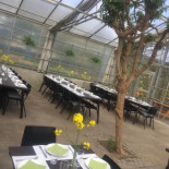 The Old Garden Mad
