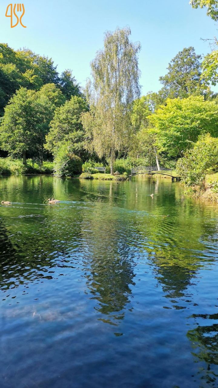 Skovmoellen Udenfor