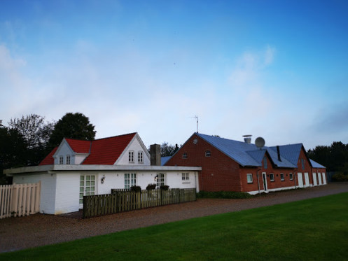 Svanen Udenfor