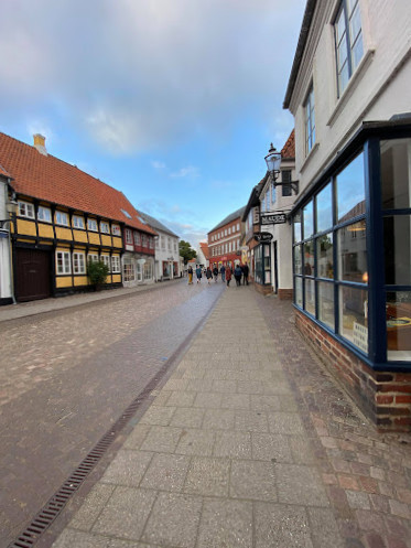 Saelhunden Udenfor