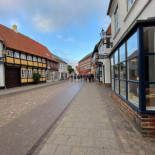 Saelhunden Udenfor