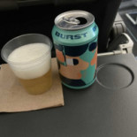 Scandinavian Airlines Mad