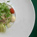 Dyvig Badehotel Inde