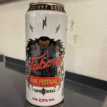 Copenhagen Backpackers Mad