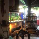 Cafe Saseline Udenfor