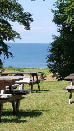 Edderfuglen Udenfor