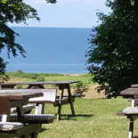 Edderfuglen Udenfor
