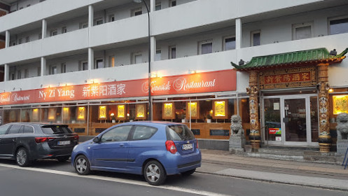 Ny Zi Yang Udenfor