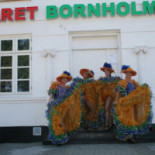 Cabaret Bornholm Show Dans Cocktail Live Music Inde