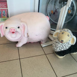 Wilma's Cafeteria Udenfor