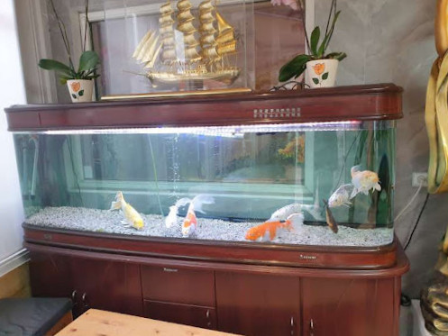 Hua Xin Udenfor