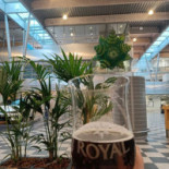 Square Cafe Kiosk Billund Airport Udenfor