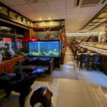 King Running Sushi Wok Udenfor