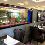 Royal Buffet Udenfor