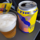 Scandinavian Airlines Flight Sk1422 (cph-arn) Mad