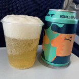 Scandinavian Airlines Mad