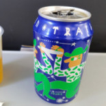 Scandinavian Airlines Mad
