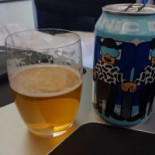Scandinavian Airlines Mad
