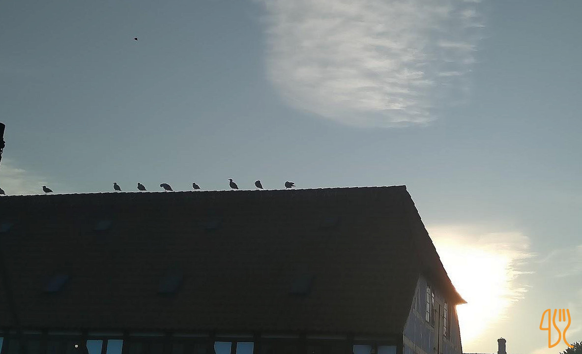 Pakhusgaardens Brasserie Udenfor