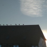 Pakhusgaardens Brasserie Udenfor