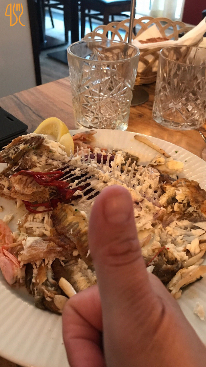 Fisk Skaldyr Mad