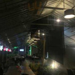 Cafe Fresh Inde