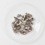 Geranium Drik