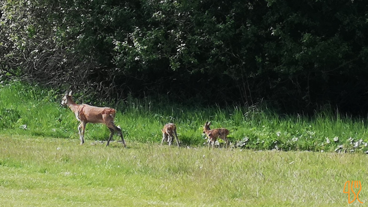 Odense Golfklubs Udenfor
