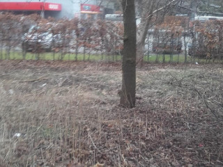 Circle K Espergærde