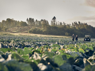 Soeris Gaardbutik