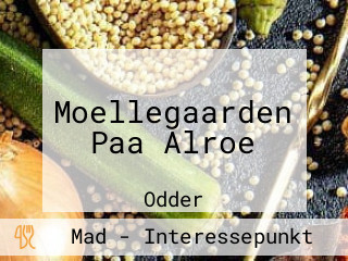 Moellegaarden Paa Alroe