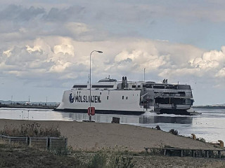 Domen Aarhus