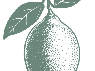 Lemon Co.