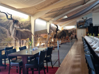 Nygaards Afrika