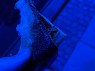 Pizza 2000