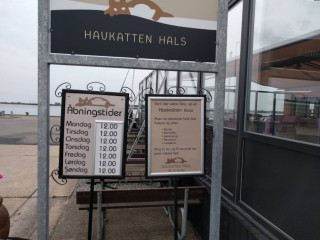 Havkatten