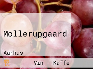 Mollerupgaard